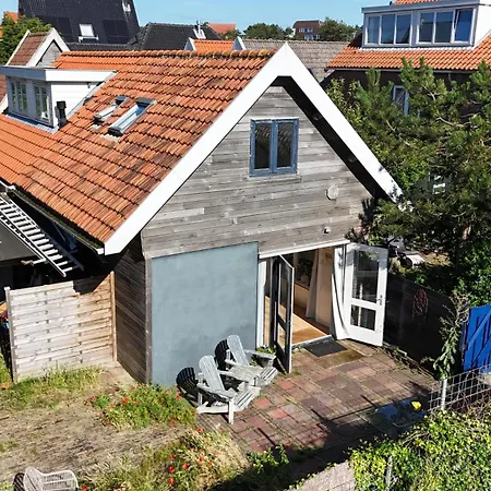 zilvermeeuw-3